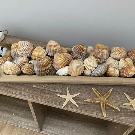 Duplex L Auvetia 150 M Circuit 24 H Apartment *